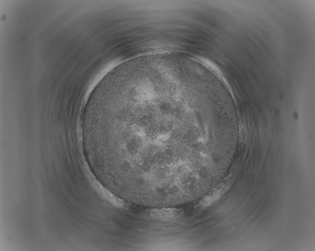 X0000076090859200610061639