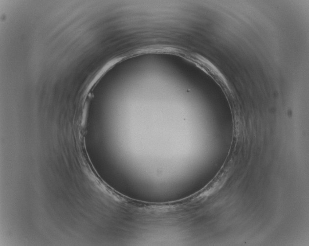 X0000076090860200610061639