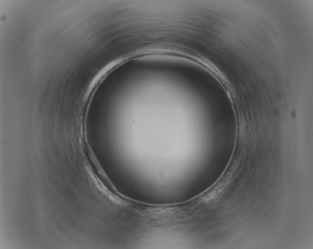 X0000076090862200610061639