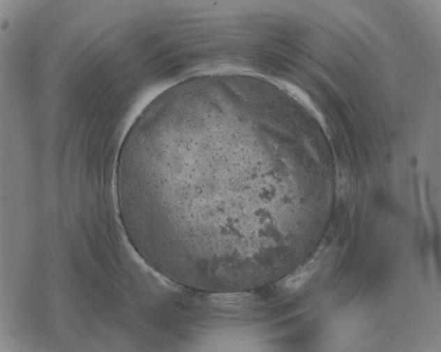 X0000076090863200610061639