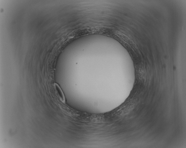 X0000076090865200610061639