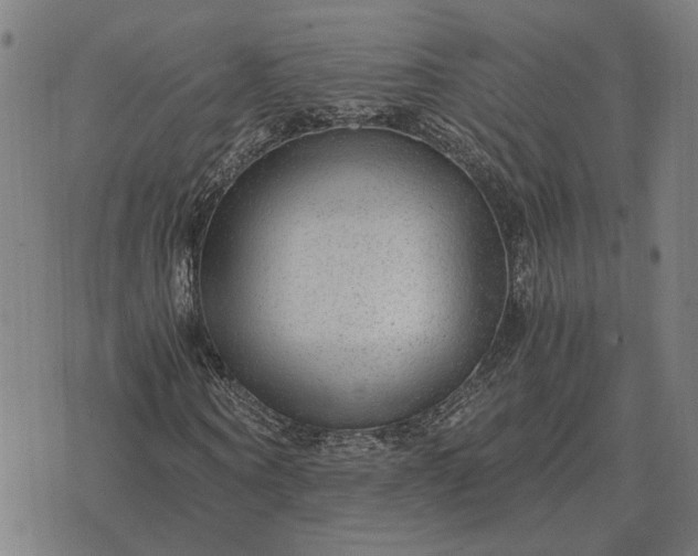 X0000076090866200610061639