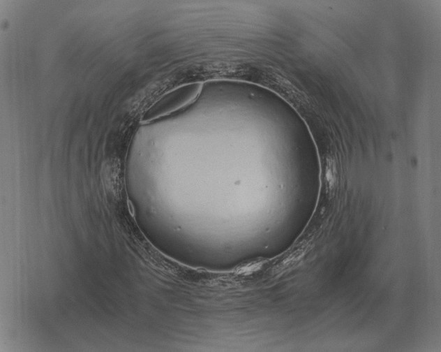 X0000076090867200610061639