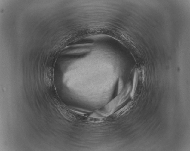 X0000076090868200610061639