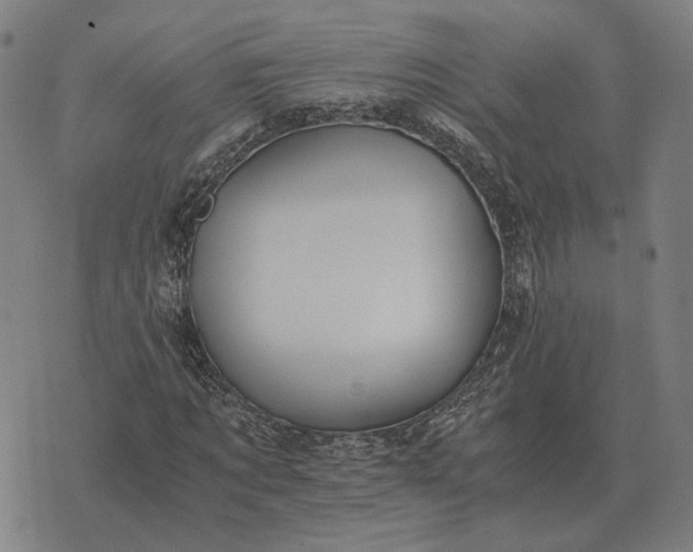 X0000076090869200610061639