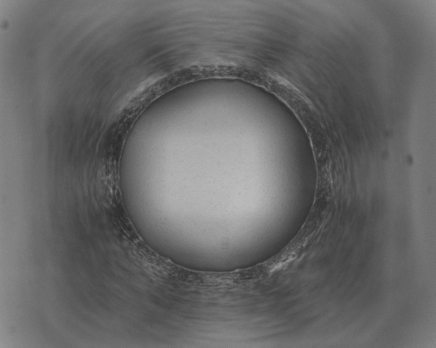 X0000076090870200610061639