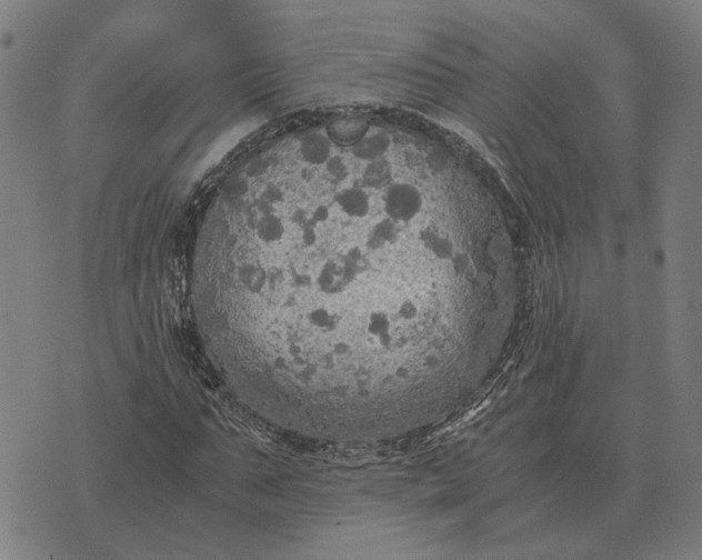 X0000076090871200610061638