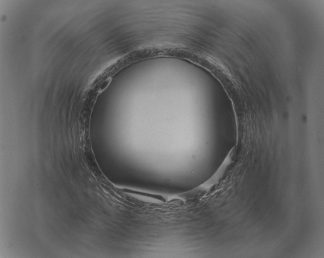 X0000076090872200610061638