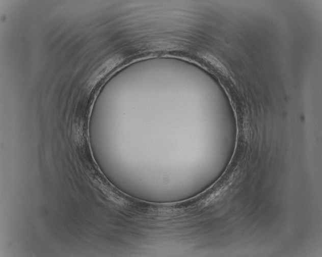 X0000076090873200610061638