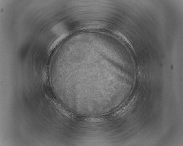 X0000076090874200610061638