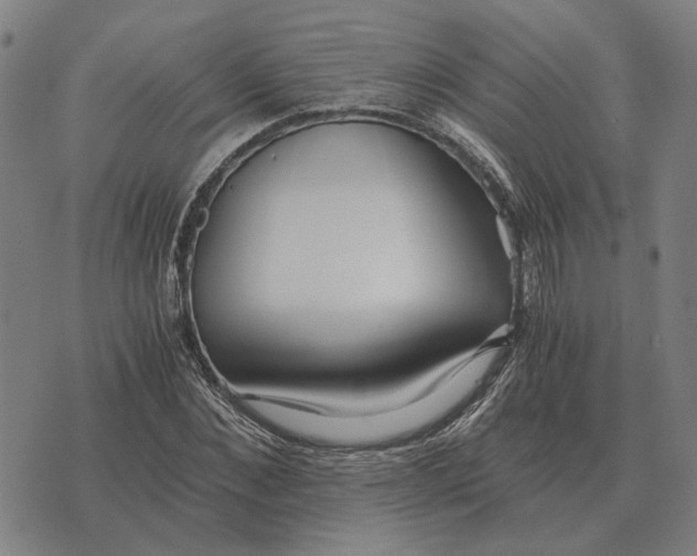 X0000076090876200610061638