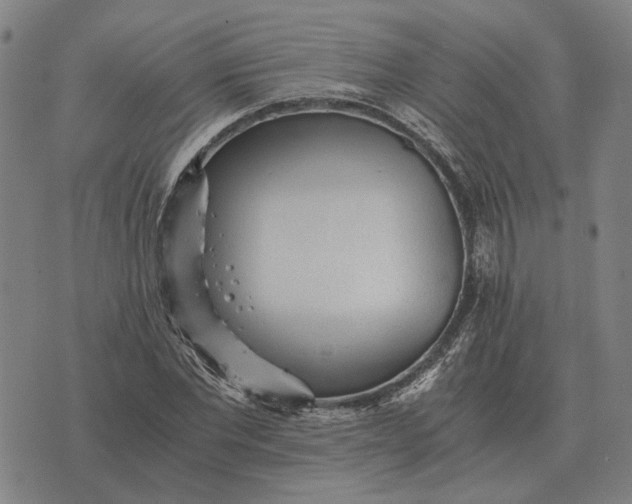 X0000076090877200610061638