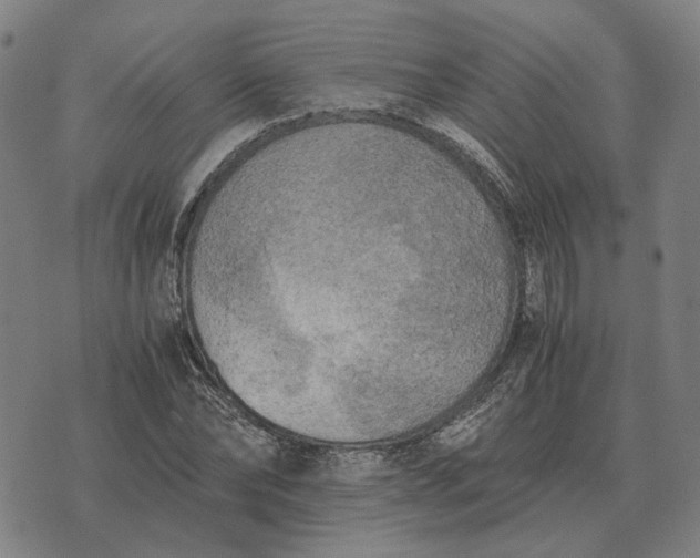 X0000076090878200610061638