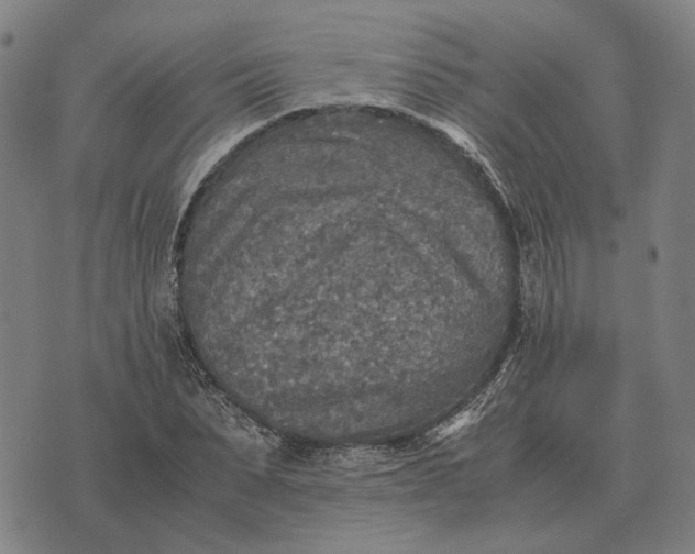 X0000076090879200610061638