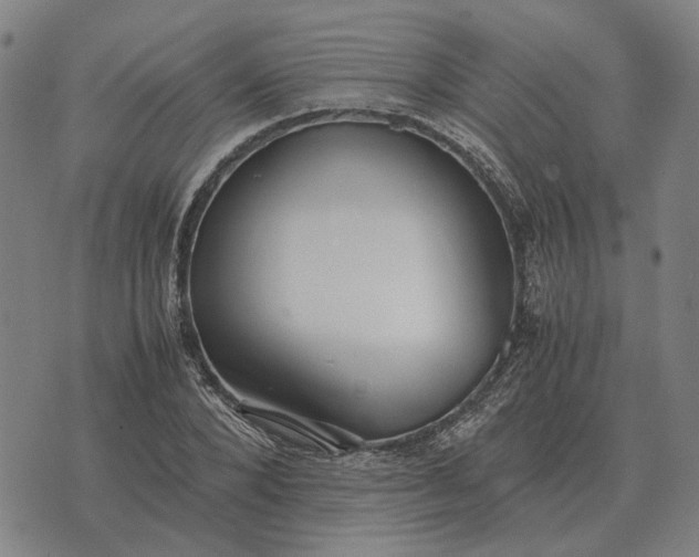 X0000076090880200610061638