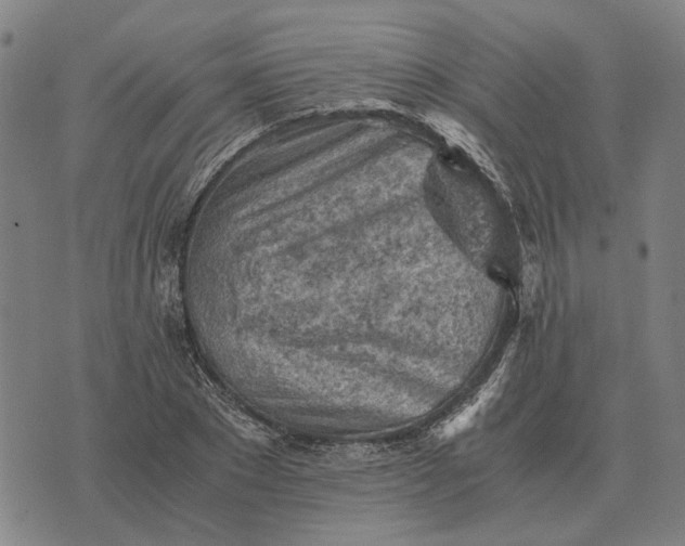 X0000076090881200610061638