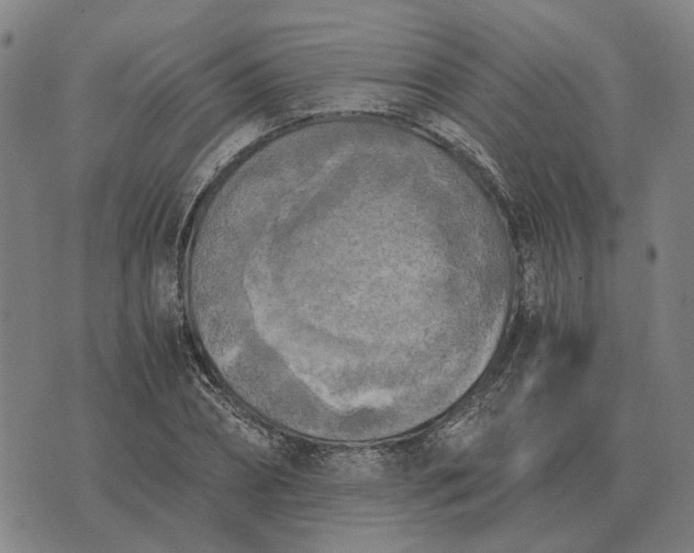 X0000076090882200610061638