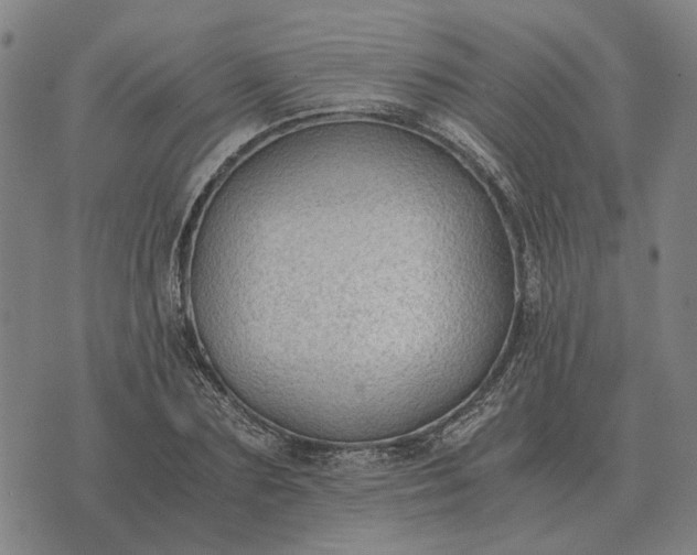 X0000076090883200610061638