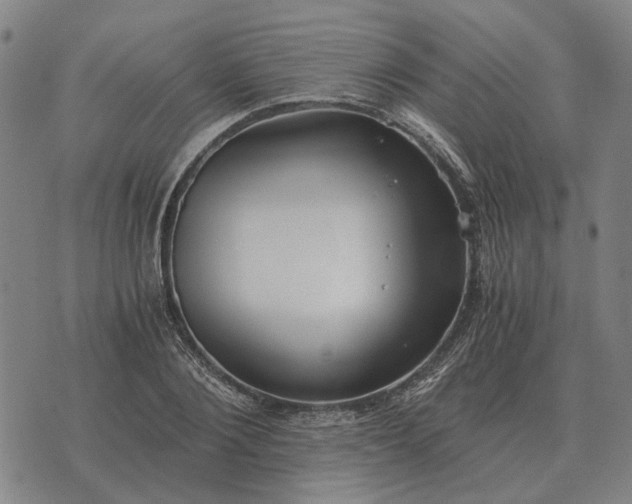 X0000076090884200610061638