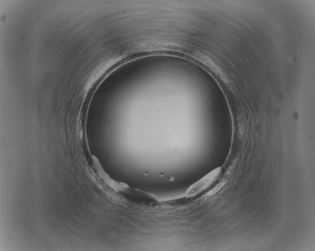 X0000076090885200610061638