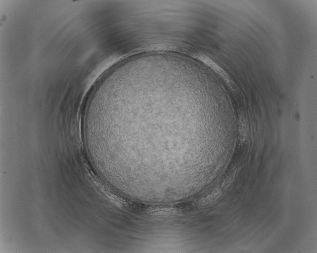 X0000076090886200610061638