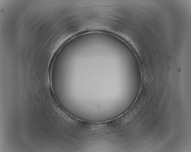 X0000076090887200610061638