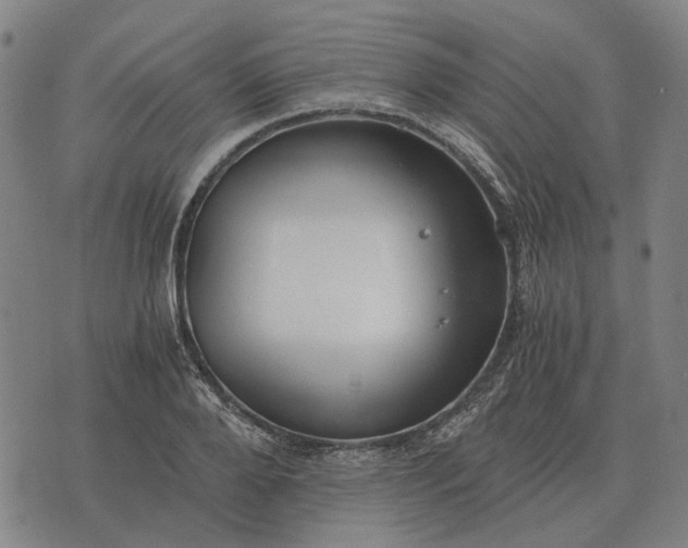 X0000076090888200610061638