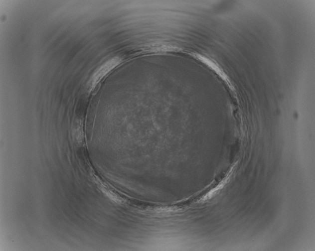 X0000076090889200610061638