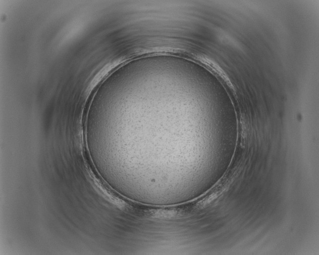 X0000076090890200610061638