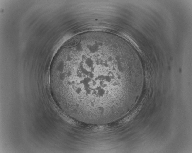 X0000076090891200610061638