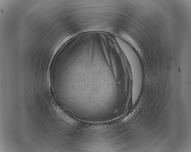 X0000076090892200610061638