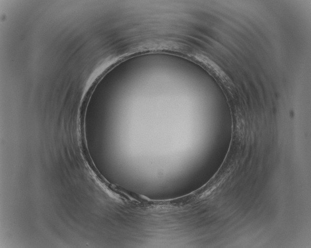 X0000076090894200610061638