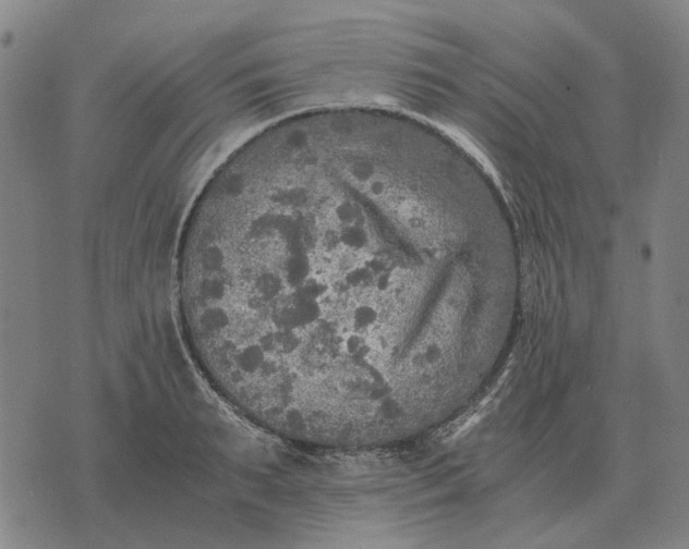 X0000076090895200610061638