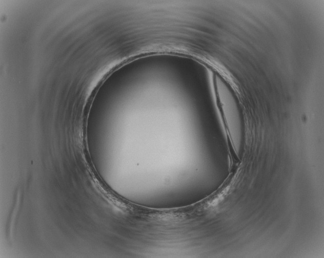 X0000076090896200610061638