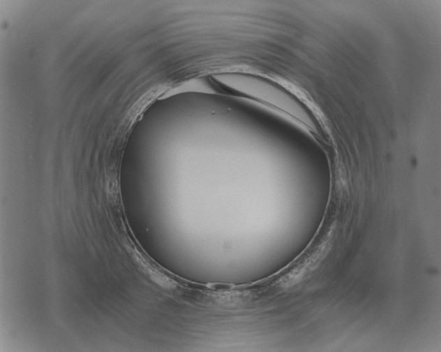 X0000076090897200610061638