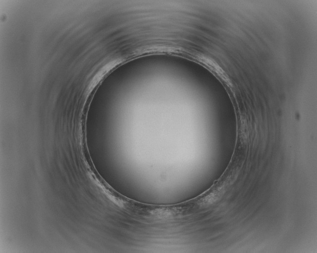 X0000076090898200610061638