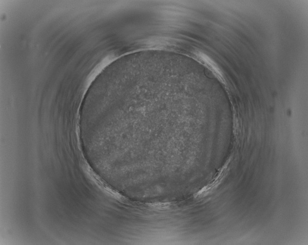 X0000076090899200610061638