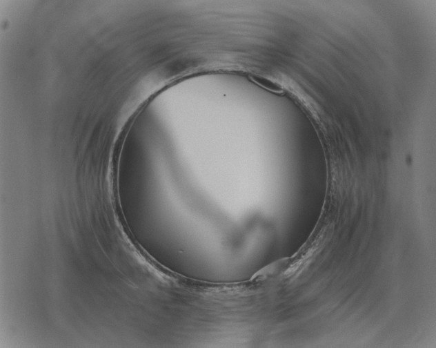 X0000076090902200610061638