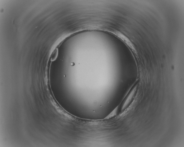 X0000076090904200610061638