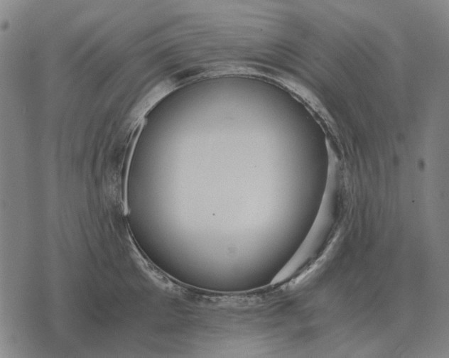 X0000076090905200610061638