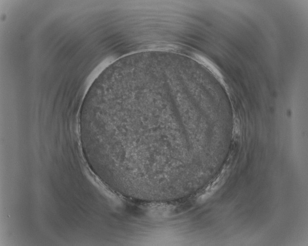 X0000076090907200610061638