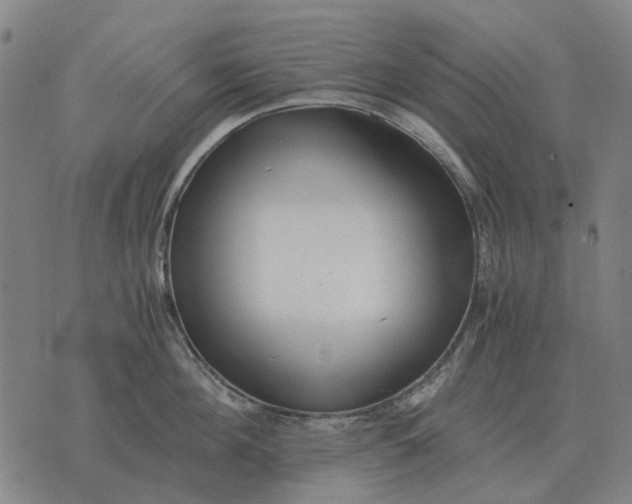 X0000076090908200610061638