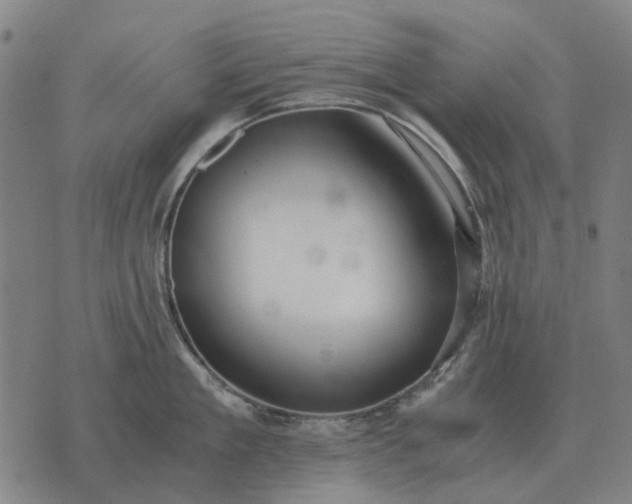 X0000076090909200610061638