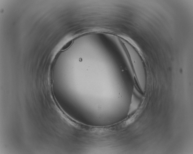 X0000076090910200610061638