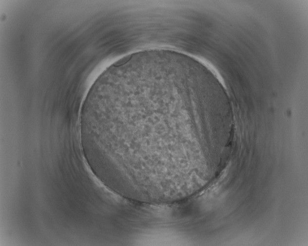 X0000076090911200610061638