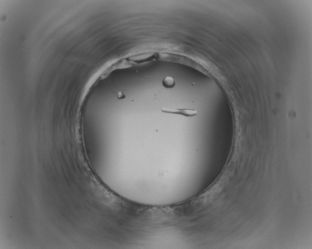 X0000076090912200610061638