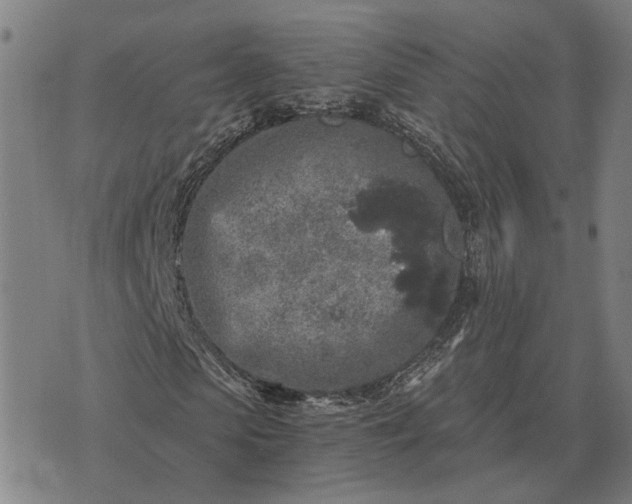 X0000076090913200610061637