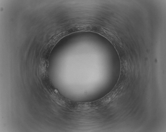 X0000076090914200610061637