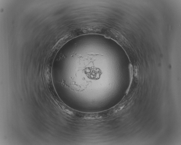 X0000076090915200610061637