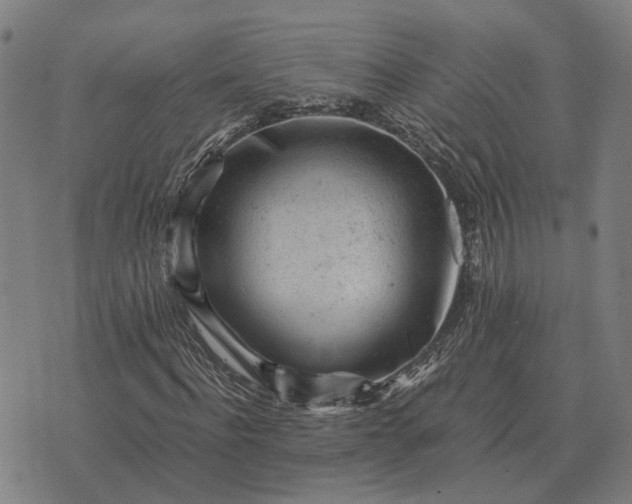 X0000076090916200610061637